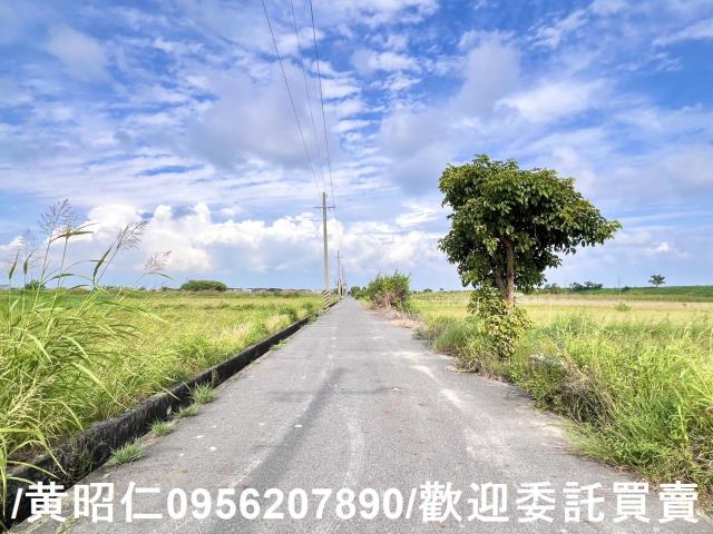 台南七股農地-4
