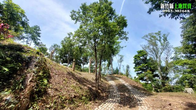 新竹北埔農地-15