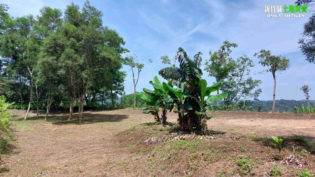 新竹北埔農地-5