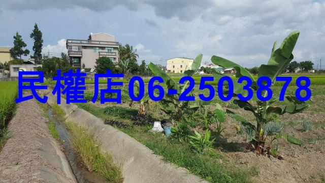 官田農地-3