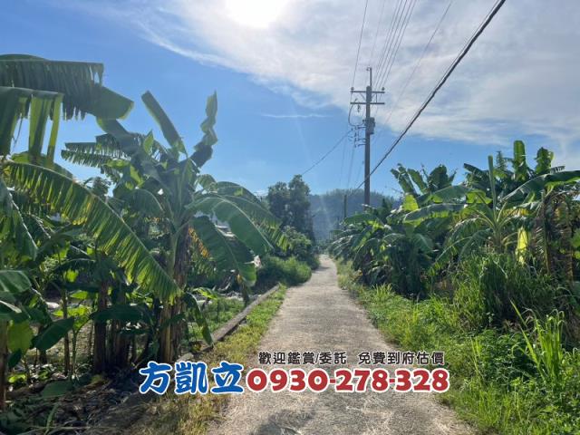 台南農地-4