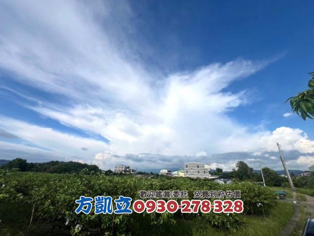台南農地-6