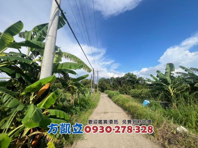 台南農地-9