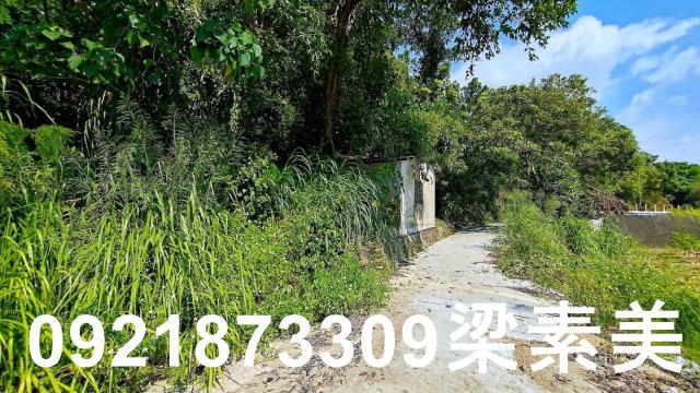 玉井農地-1