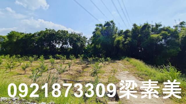 玉井農地-3