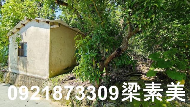 玉井農地-5