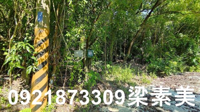 玉井農地-6