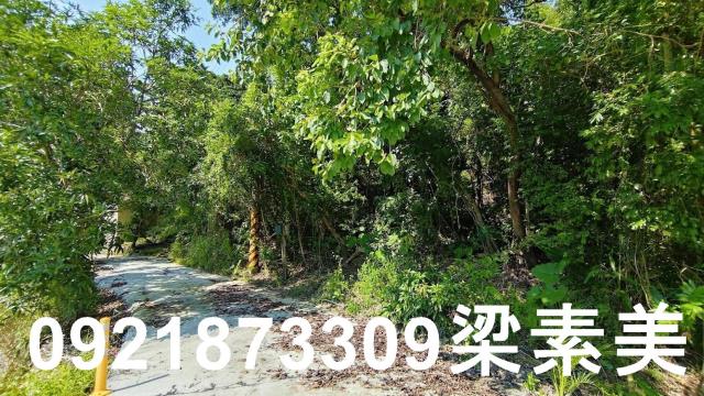 玉井農地-7
