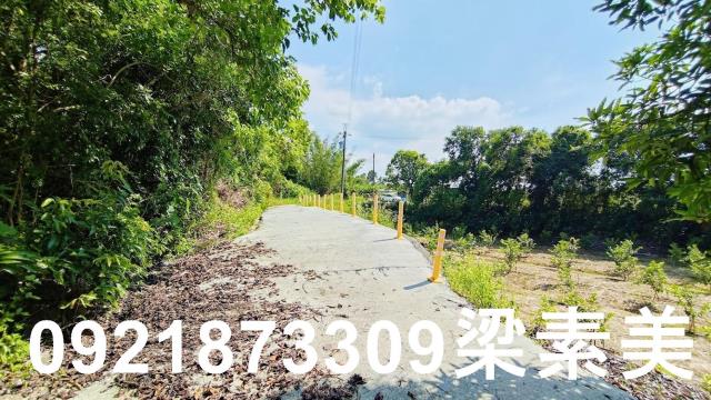玉井農地-8