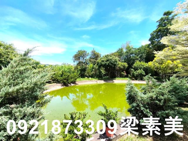 台南農地-15