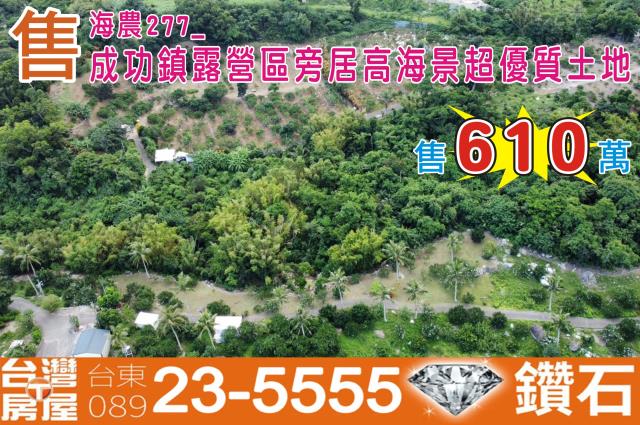 台東成功農地-1