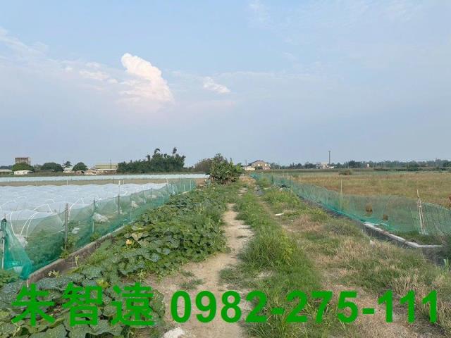 台南學甲農地-8