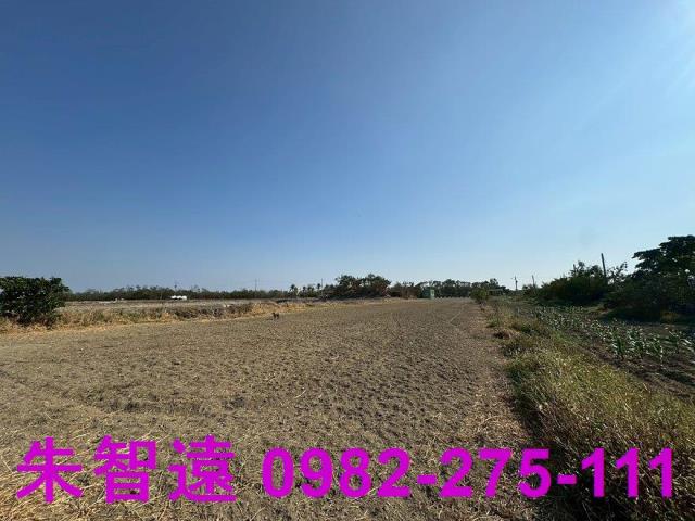 西港農地-12