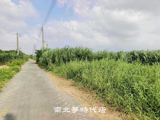 台南善化農地-12