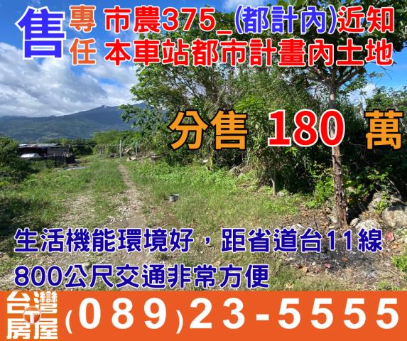 台東台東市農地-2