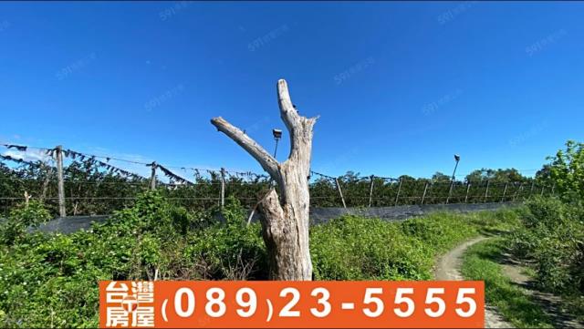台東台東市農地-5