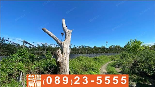 台東台東市農地-6