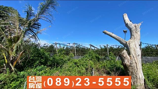 台東台東市農地-7