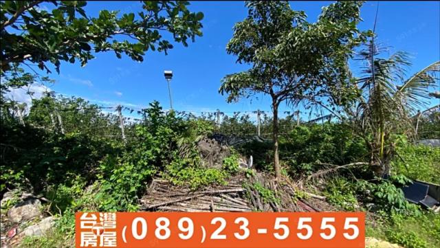 台東台東市農地-8