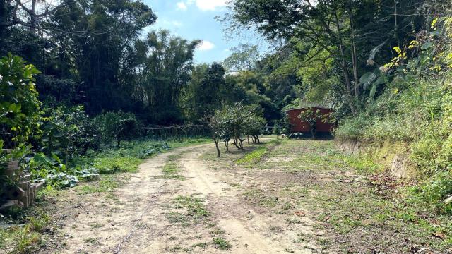 新竹峨眉農地-13