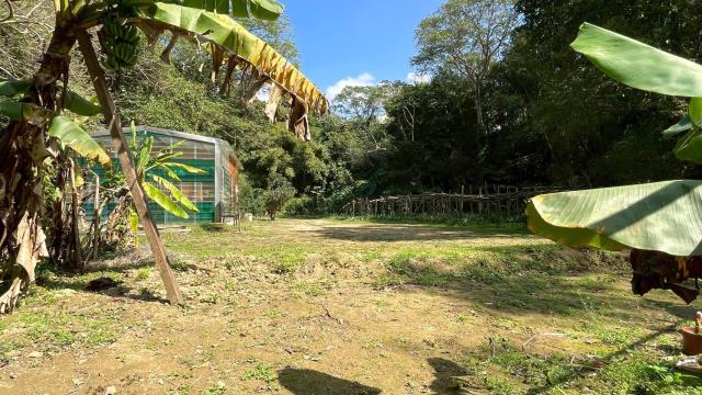 新竹峨眉農地-7