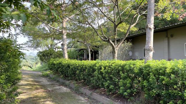 苗栗三灣農地-10