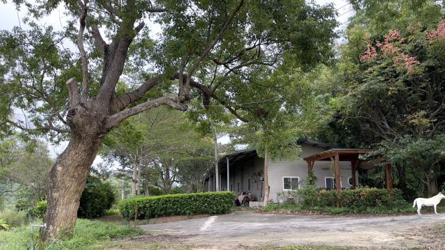 苗栗三灣農地-3