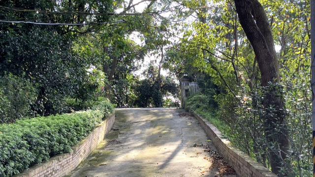 苗栗三灣農地-7