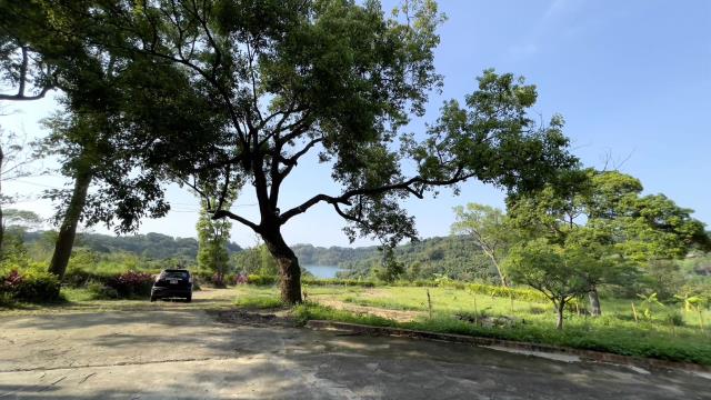 苗栗三灣農地-8