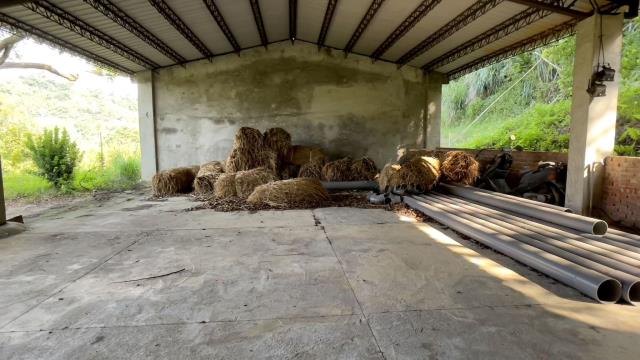 苗栗三灣農地-9