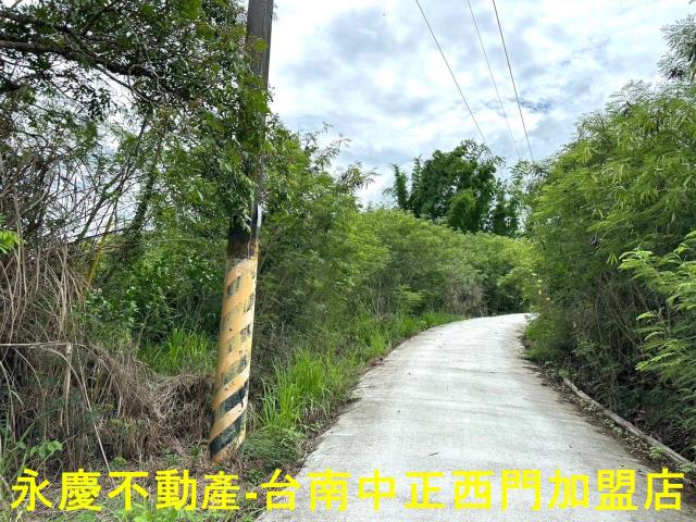 玉井農地-10