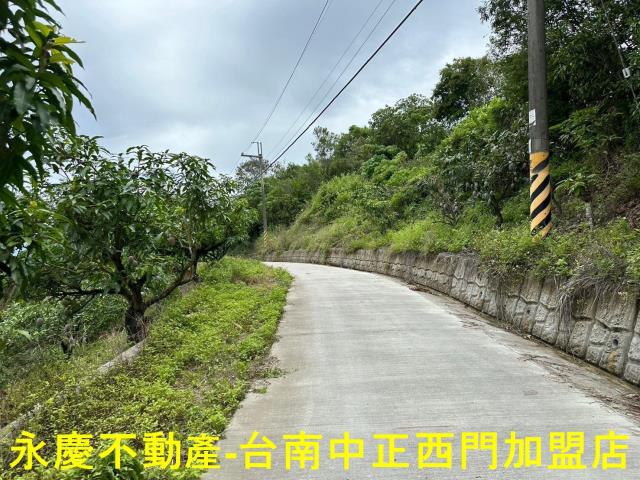 玉井農地-14