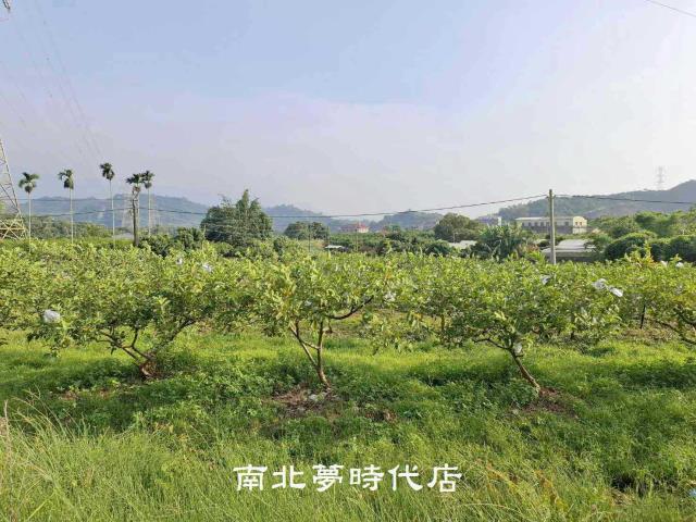 楠西農地-9