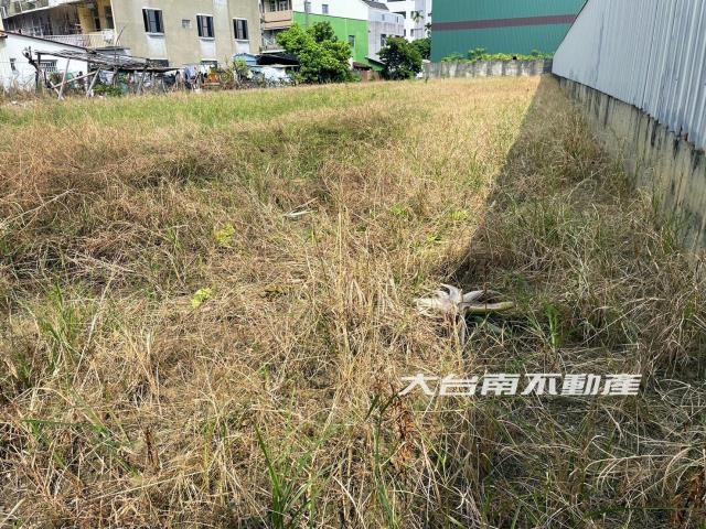台南新市工業地-3