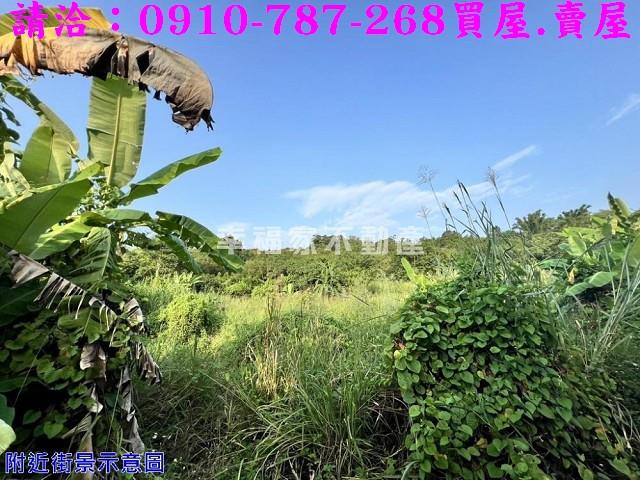 大內農地-3