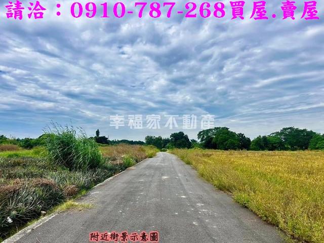 台南農地-15