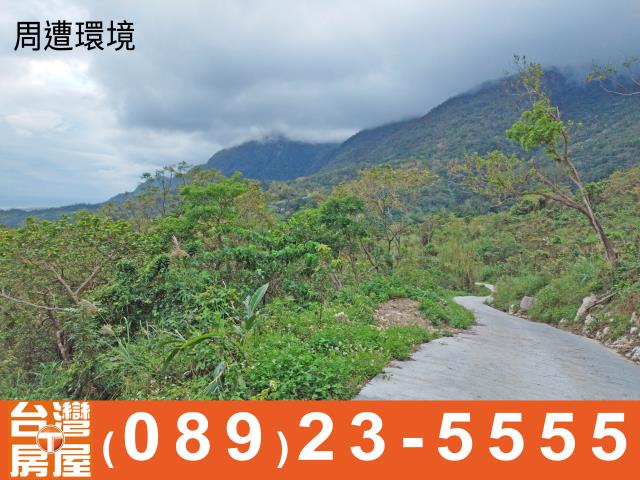 台東成功農地-8