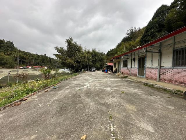 鹿谷農地-11