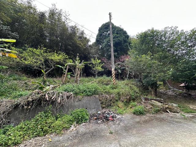鹿谷農地-12