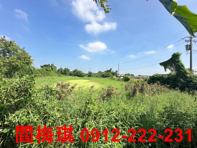 新市農地-8
