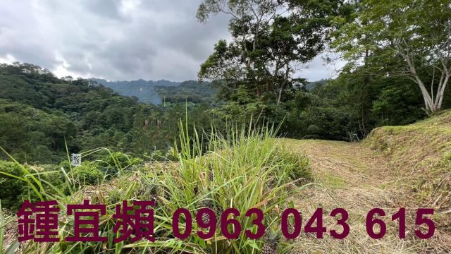 新竹北埔農地-14