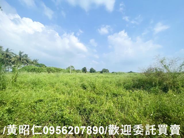 台南歸仁農地-1