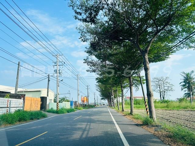 仁德農地-15