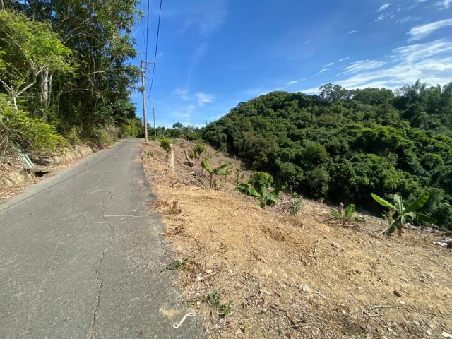 南投山坡地-4