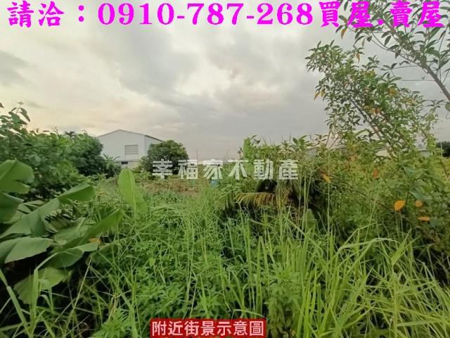 台南農地-5