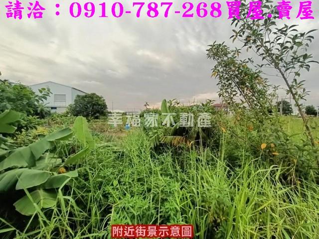 台南農地-6