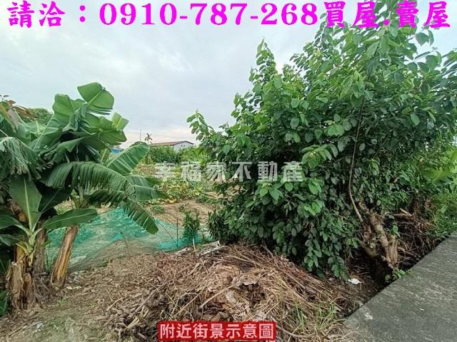 台南農地-8