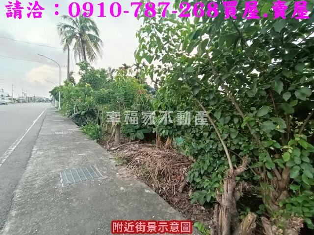 台南農地-9