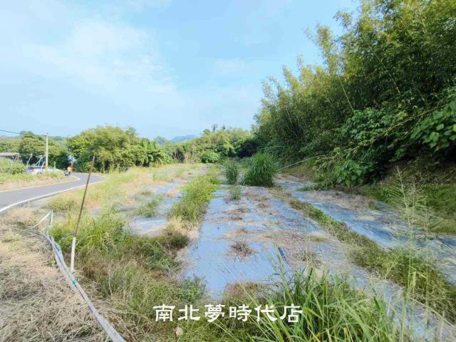 玉井農地-1
