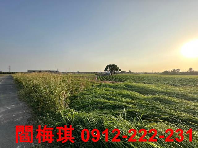 台南新市農地-5